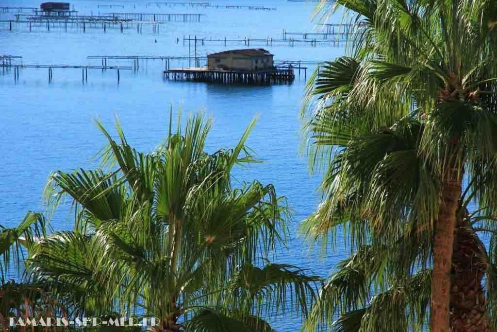 Apartamento Les Pieds Dans L'Eau La Seyne-sur-Mer Exterior foto